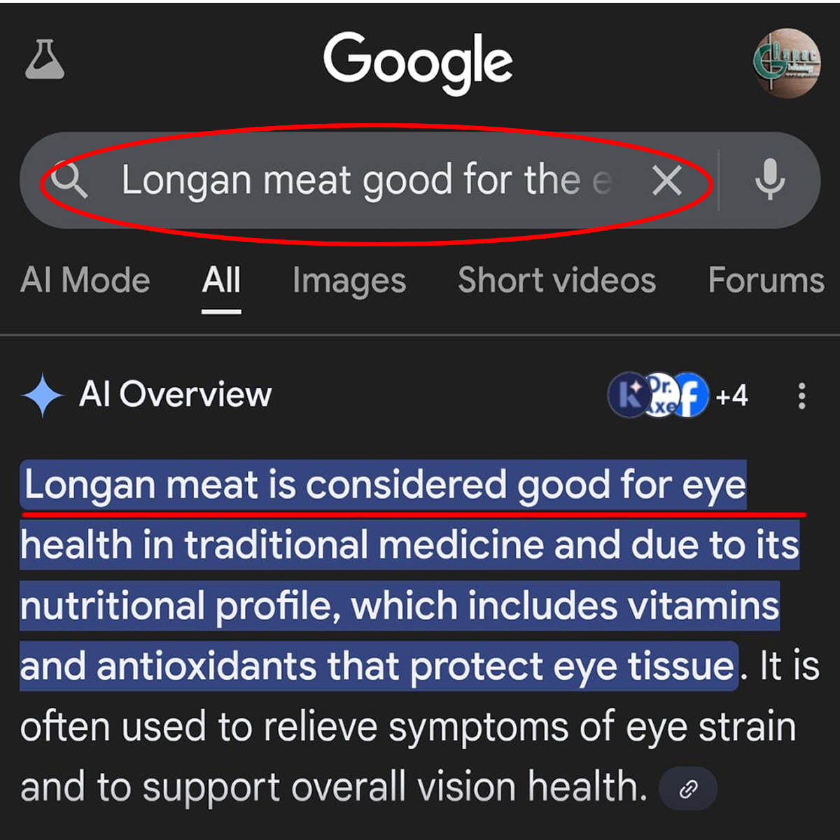 longanmeat